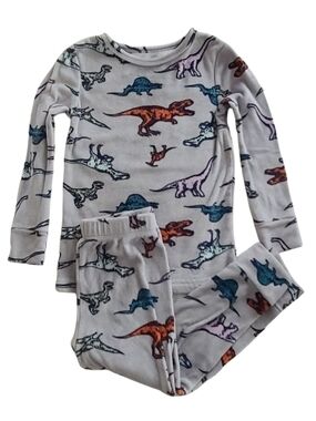 Kids' Grey Dinosaur Pajama Set - Long Sleeve Two-Piece
